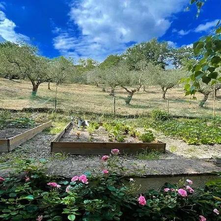 Spoleto Enchantedexc Pool, Gardens Villaaircon 6