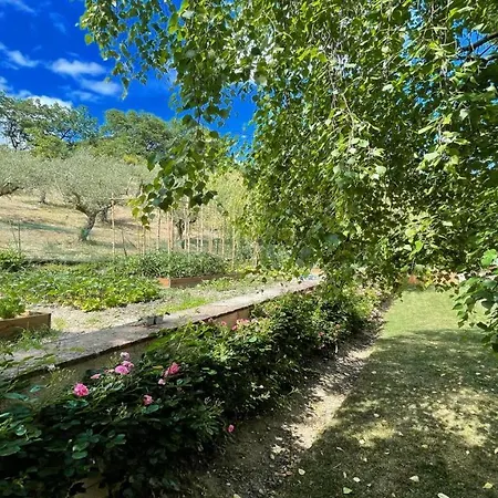 Spoleto Enchantedexc Pool, Gardens Villaaircon 6 Uncinano