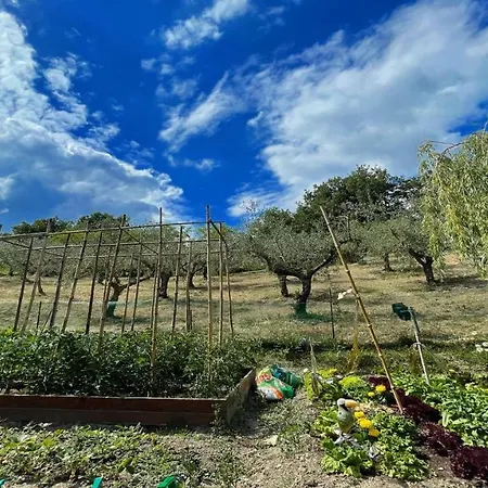 Villa Spoleto Enchantedexc Pool, Gardens Villaaircon 6 Uncinano